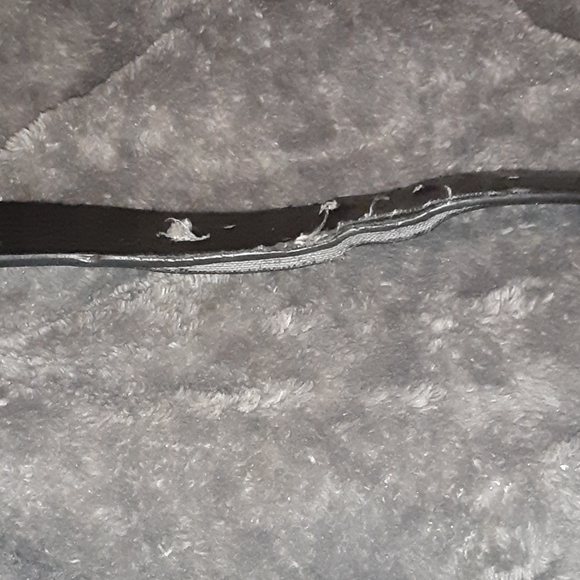 Belt - Picture 5 of 5